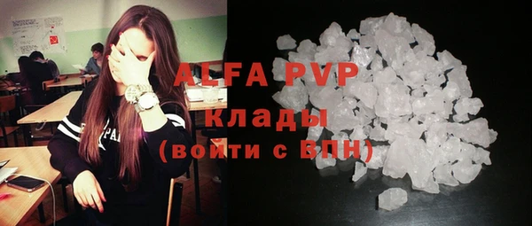 винт Надым