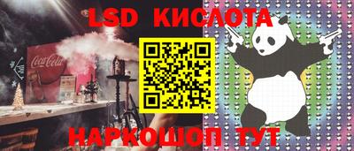 прущие крисы Бийск