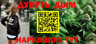 прущие крисы Бийск