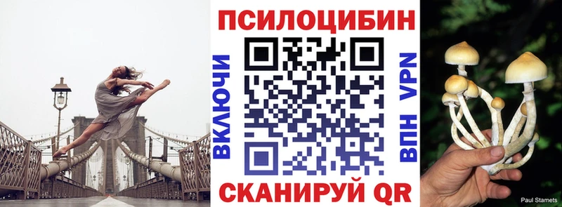 Галлюциногенные грибы GOLDEN TEACHER  Новотроицк 