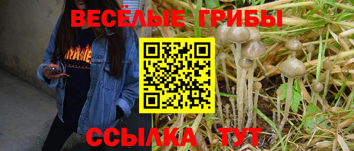 Новотроицк  Галлюциногенные грибы ЛСД  Вход с VPN 