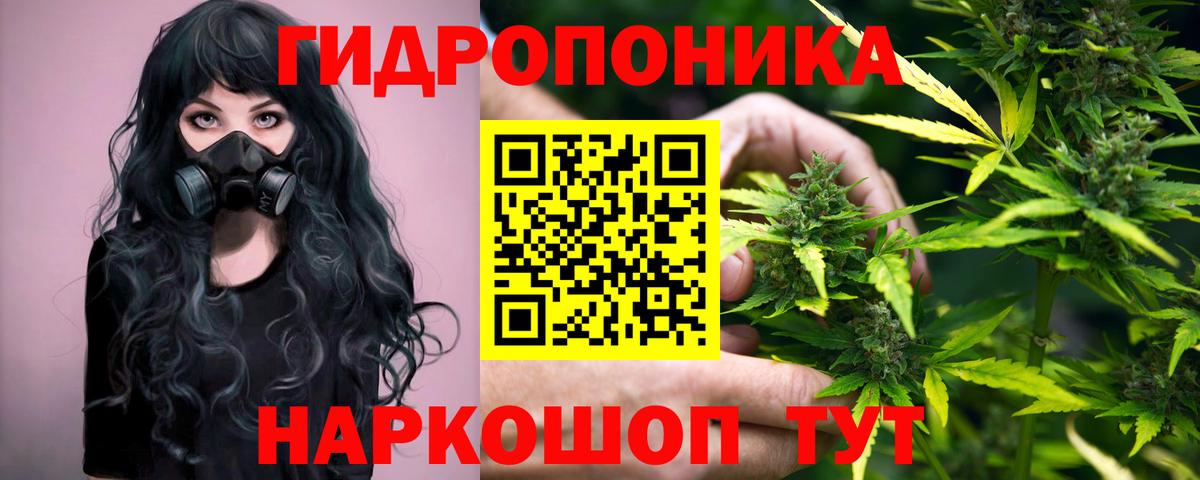 МАРИХУАНА гибрид  Конопля конопля  Шишки марихуана Amnesia  Новотроицк  МАРИХУАНА планчик  Вход с VPN 